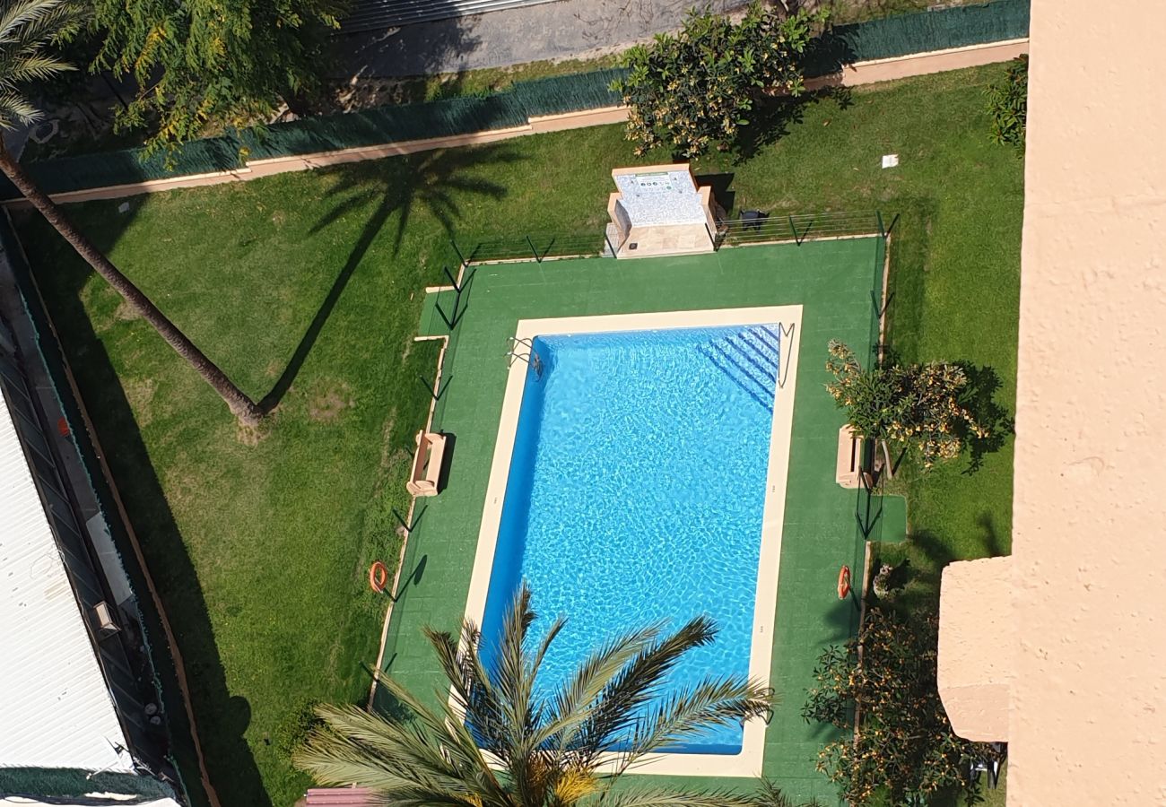 Appartement in Benidorm - ALHAMBRA (1 SLAAPKAMER)