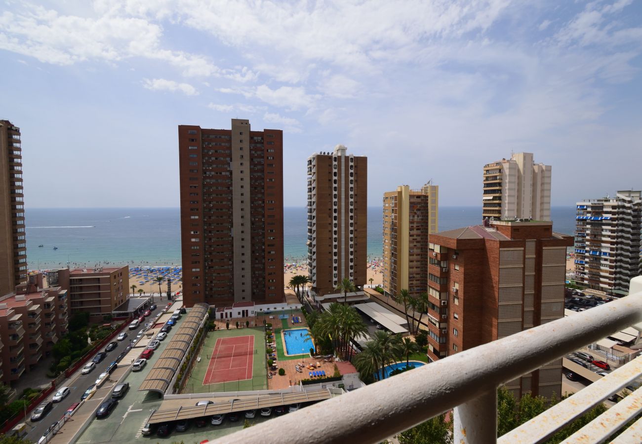 Appartement in Benidorm - LOS CABALLOS (1 BEDROOM APARTMENT)