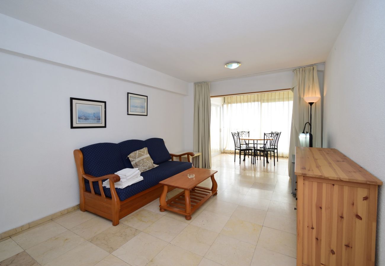 Appartement in Benidorm - LOS CABALLOS (1 BEDROOM APARTMENT)