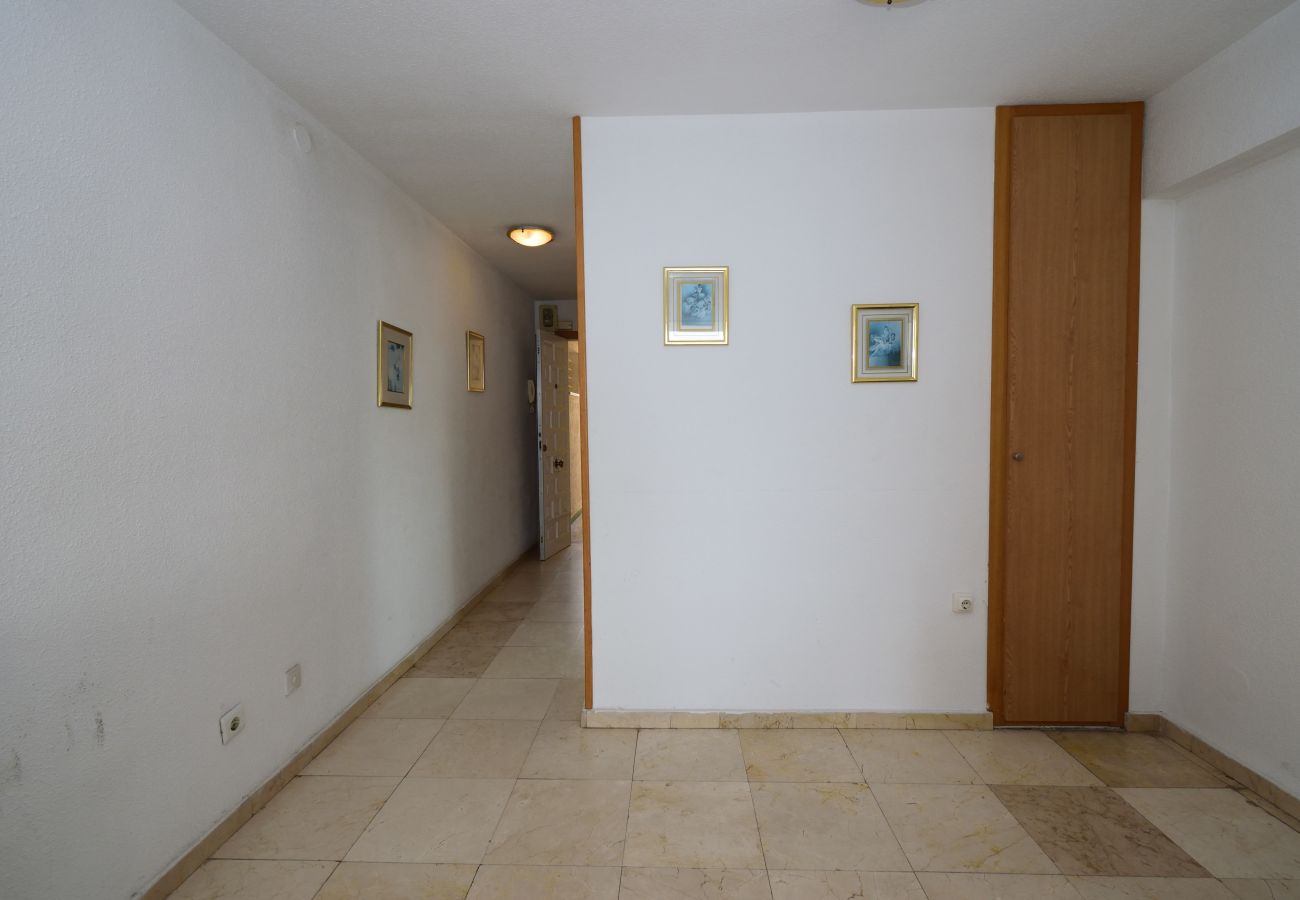 Appartement in Benidorm - LOS CABALLOS (1 BEDROOM APARTMENT)