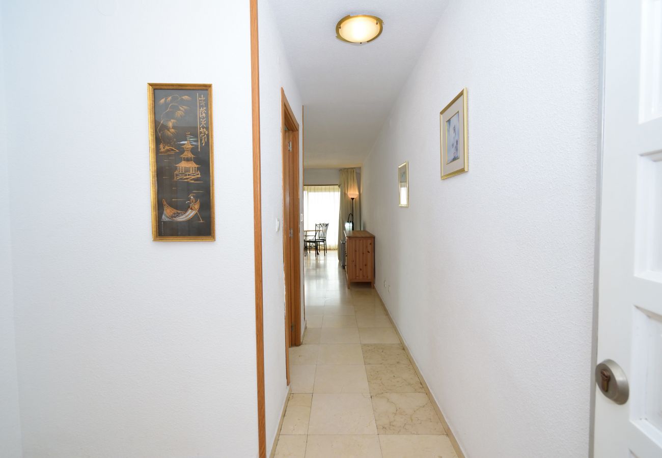 Appartement in Benidorm - LOS CABALLOS (1 BEDROOM APARTMENT)