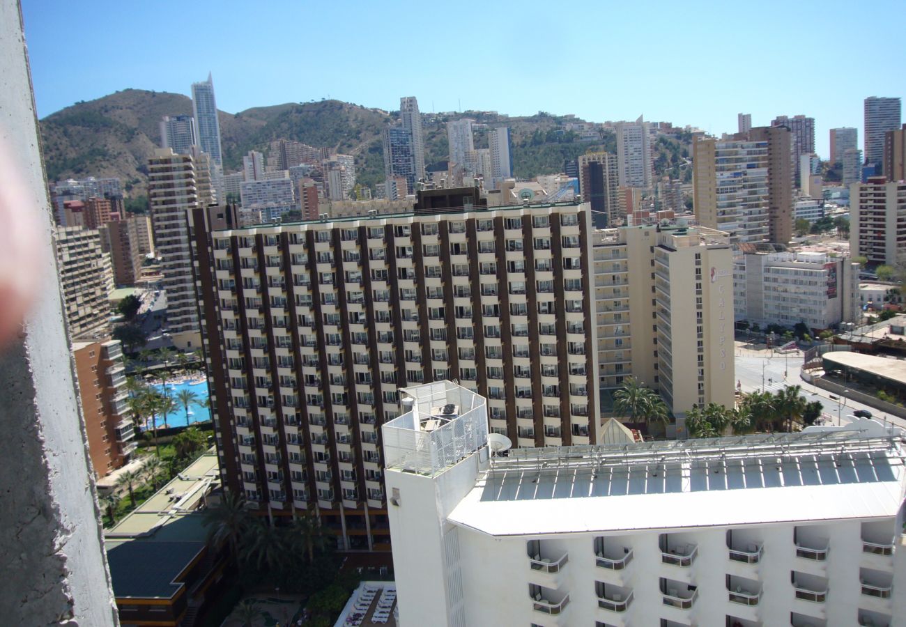 Appartement in Benidorm - GEMELOS 26 (1 SLAAPKAMER)