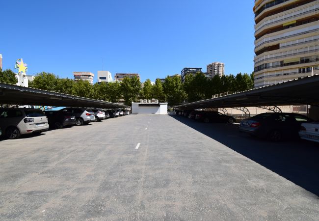 Studio in Benidorm - MIRAMAR PLAYA (STUDIO) Studio in Benidorm - MIRAMAR PLAYA (STUDIO)