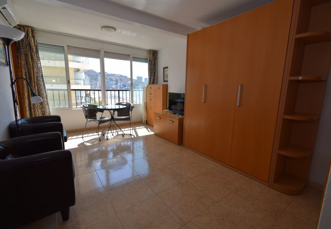 Studio in Benidorm - MIRAMAR PLAYA (STUDIO)