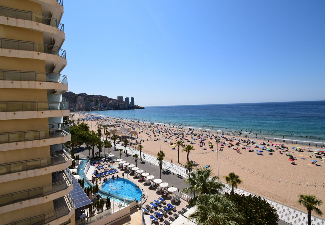 Studio in Benidorm - MIRAMAR PLAYA (STUDIO)