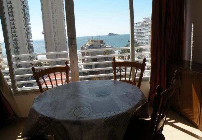 Studio in Benidorm - DUCADO (STUDIO) BENIDORM Studio in Benidorm - DUCADO (STUDIO) BENIDORM
