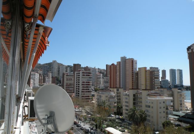 Studio in Benidorm - DUCADO (STUDIO) BENIDORM Studio in Benidorm - DUCADO (STUDIO) BENIDORM