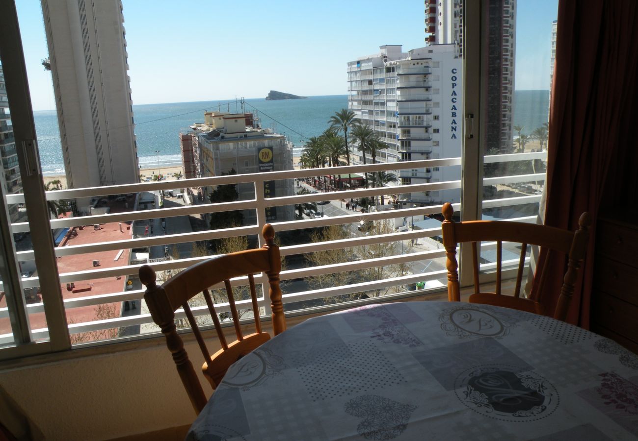 Studio in Benidorm - DUCADO (STUDIO) BENIDORM