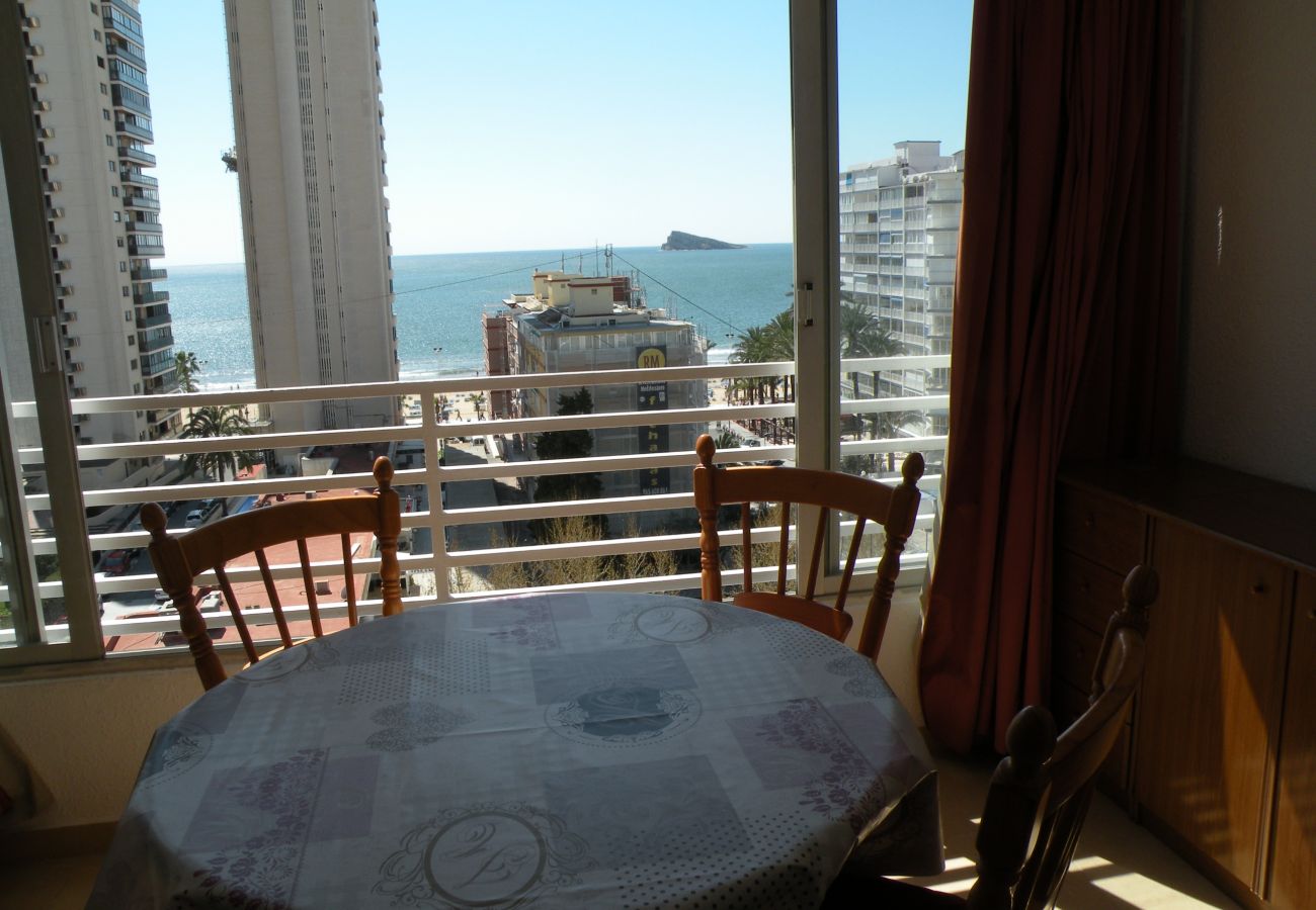 Studio in Benidorm - DUCADO (STUDIO) BENIDORM