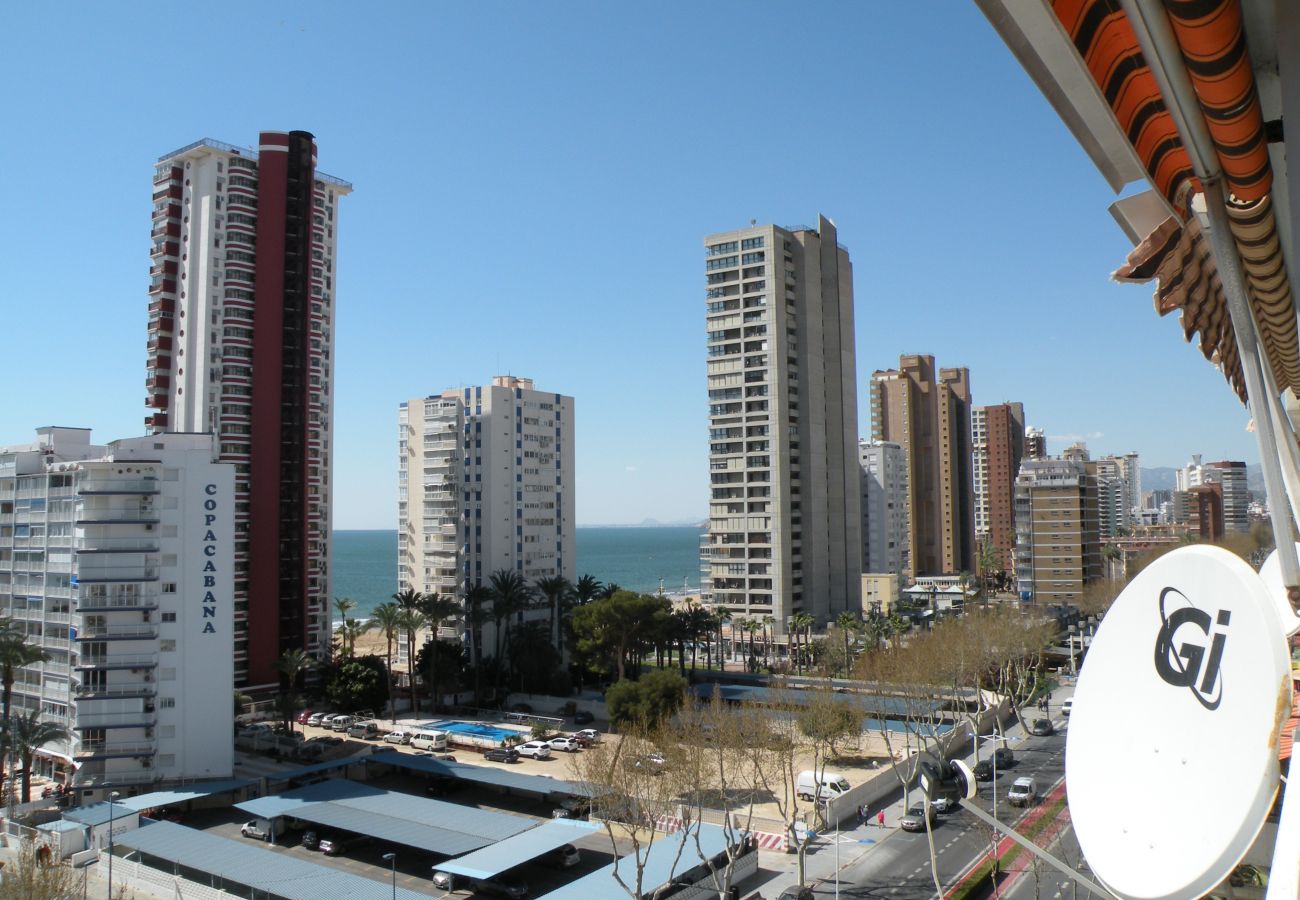 Studio in Benidorm - DUCADO (STUDIO) BENIDORM