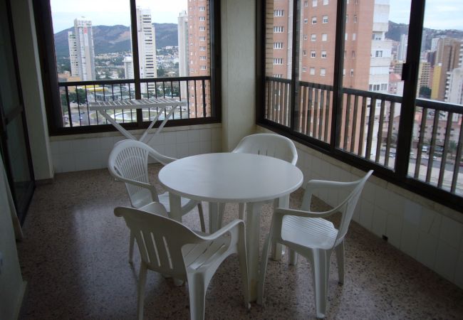 Appartement in Benidorm - ISLANDIA (1 BEDROOM) Appartement in Benidorm - ISLANDIA (1 BEDROOM)