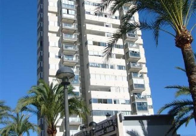 Appartement in Benidorm - KENNEDY 2 (2 SLAAPKAMERS)