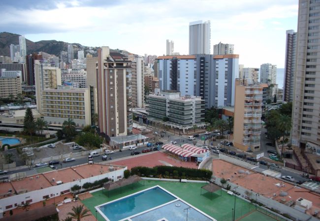 Appartement in Benidorm - GEMELOS 2 (1 SLAAPKAMER)