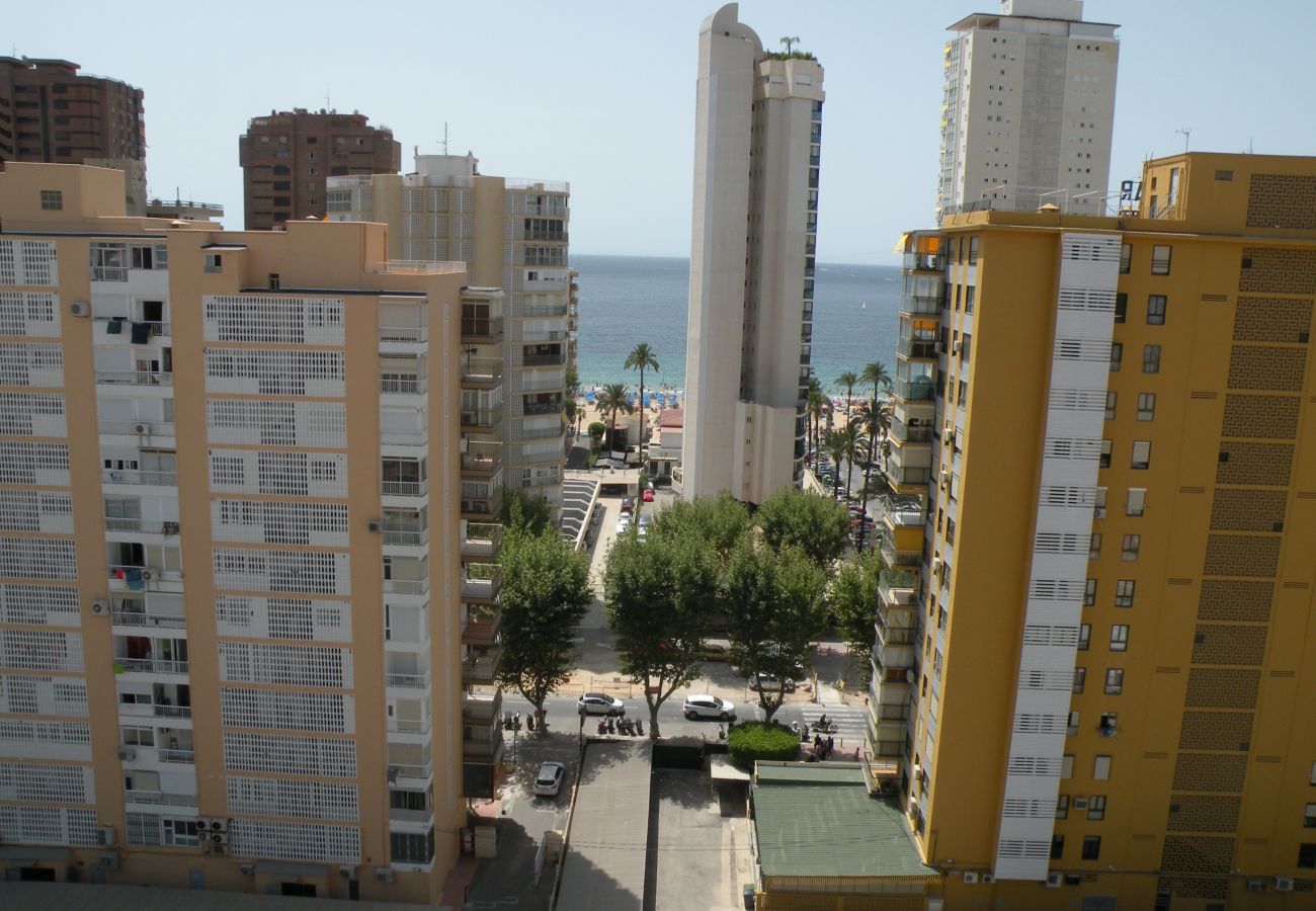 Appartement in Benidorm - LOS PINOS (1 SLAAPKAMER)