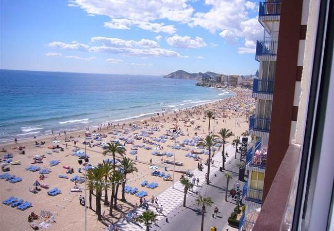 Appartement in Benidorm - MIRAMAR PLAYA (1 SLAAPKAMER)