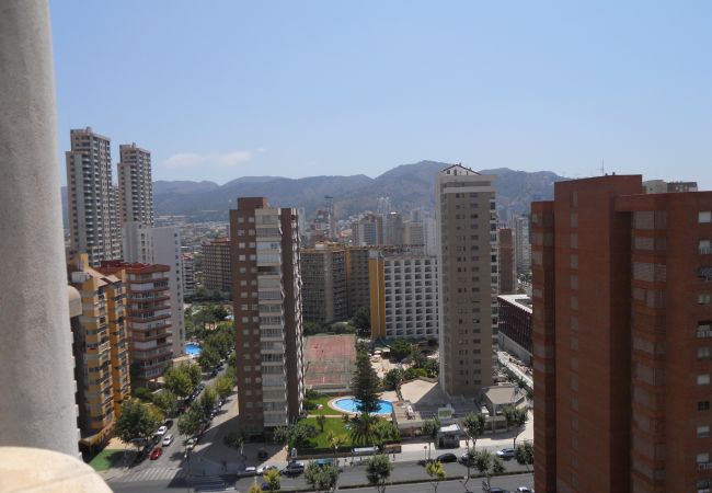 Appartement in Benidorm - San Francsico apartment  (1 sclaapkamer) Appartement in Benidorm - San Francsico apartment  (1 sclaapkamer)