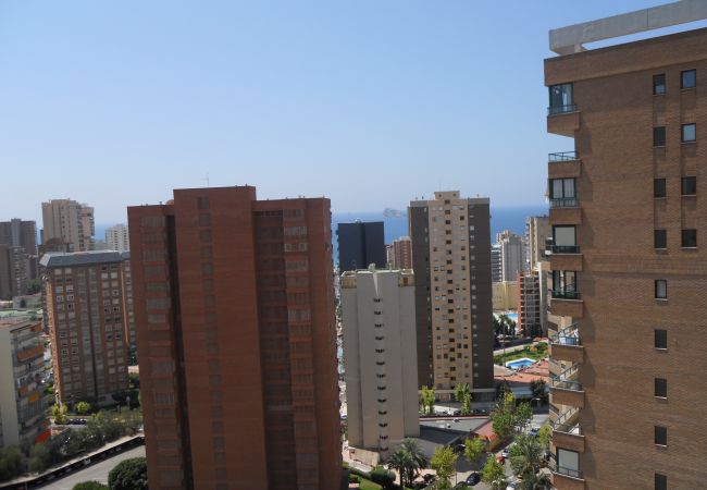 Appartement in Benidorm - San Francsico apartment  (1 sclaapkamer) Appartement in Benidorm - San Francsico apartment  (1 sclaapkamer)