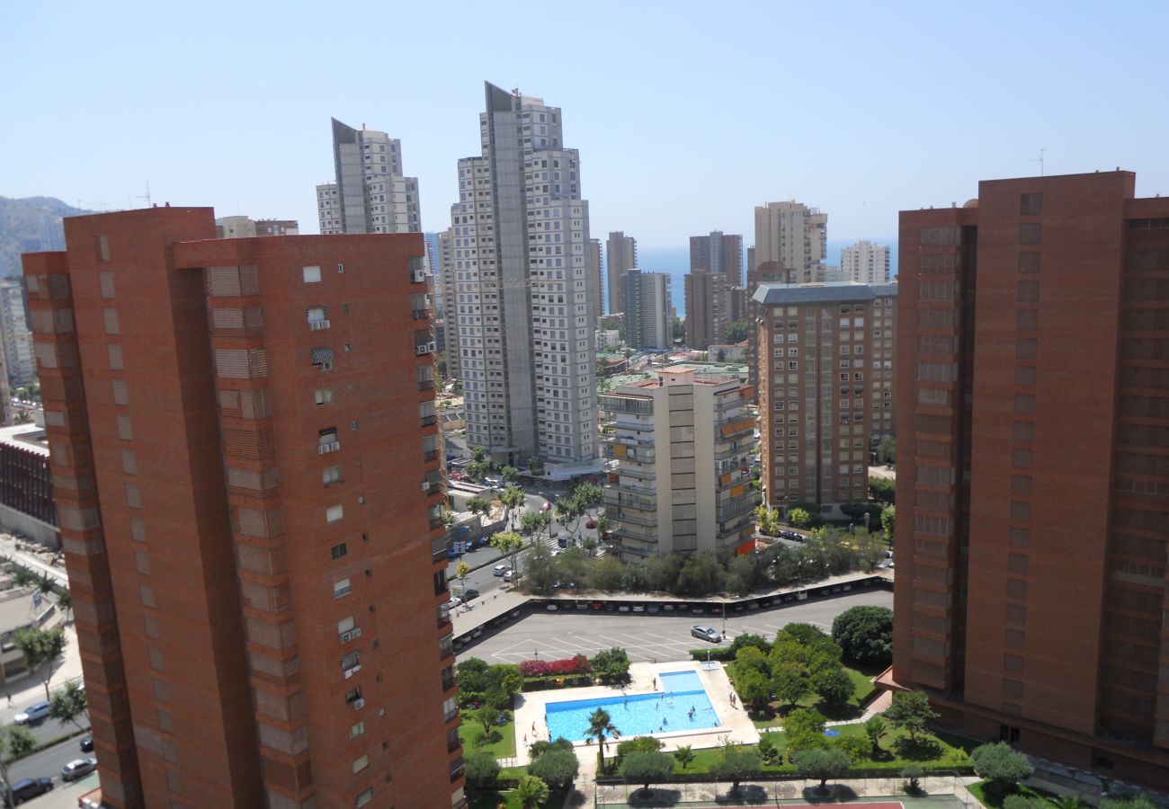 Appartement in Benidorm - San Francsico apartment  (1 sclaapkamer)