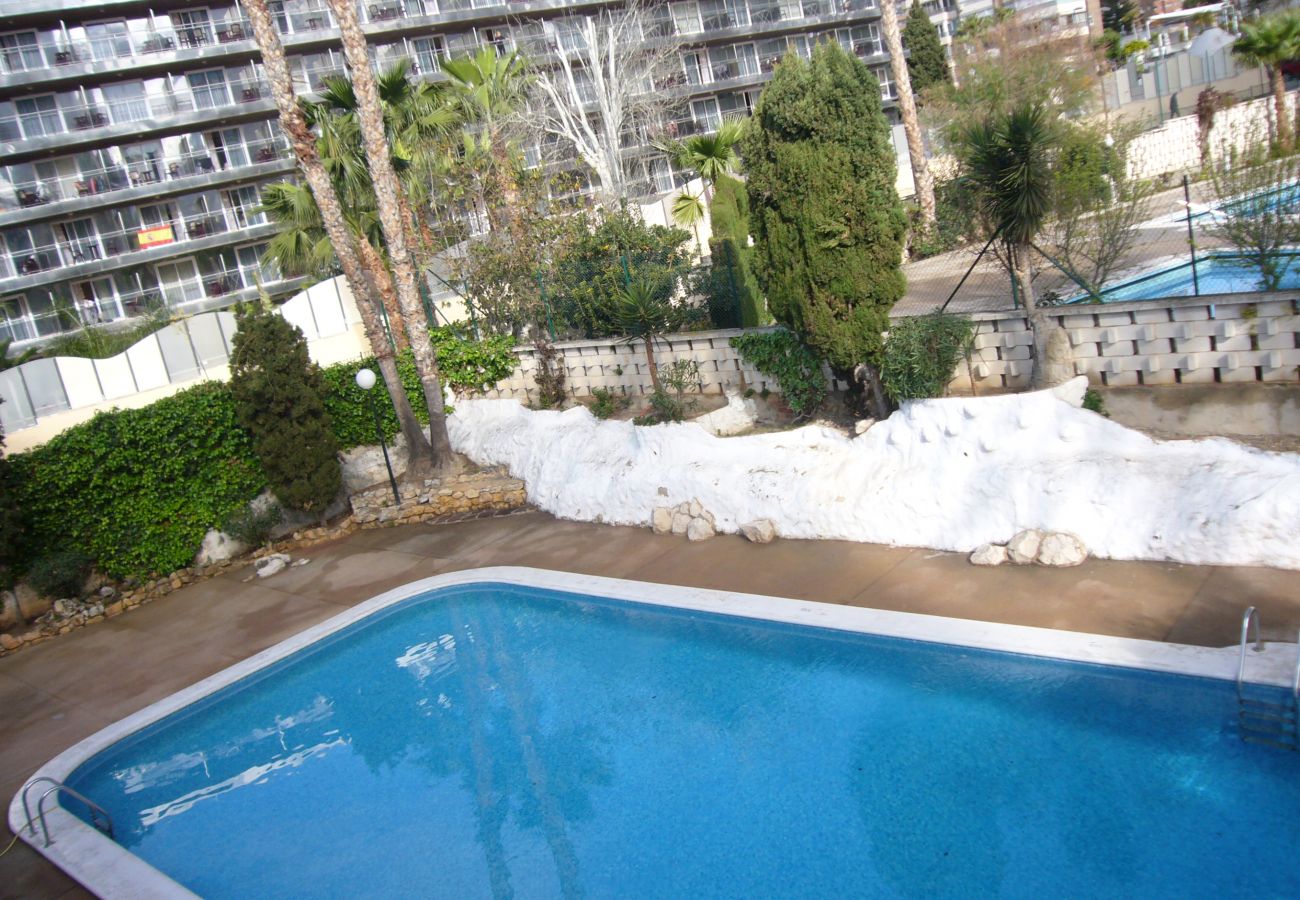 Appartement in Benidorm - MARISCAL 1 (1 SLAAPKAMER)