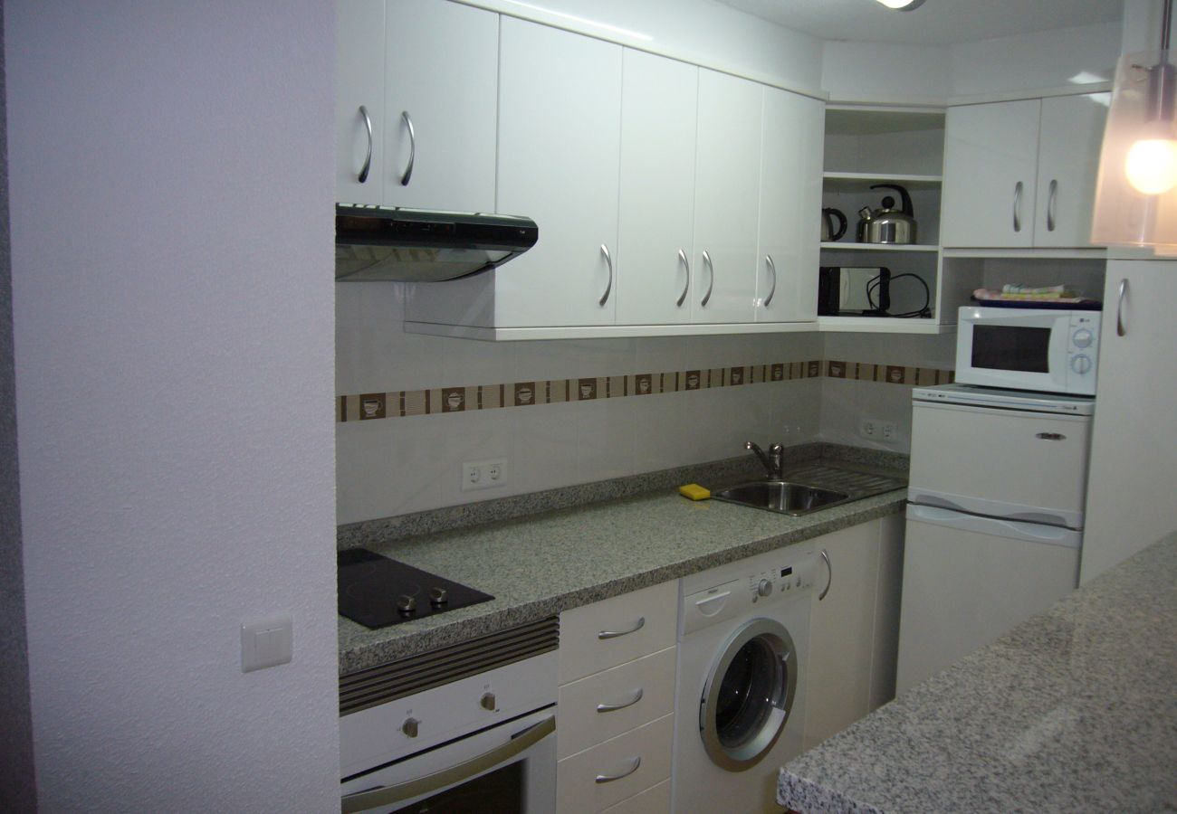 Studio in Benidorm - LAS PALMERAS (STUDIO) BENIDORM