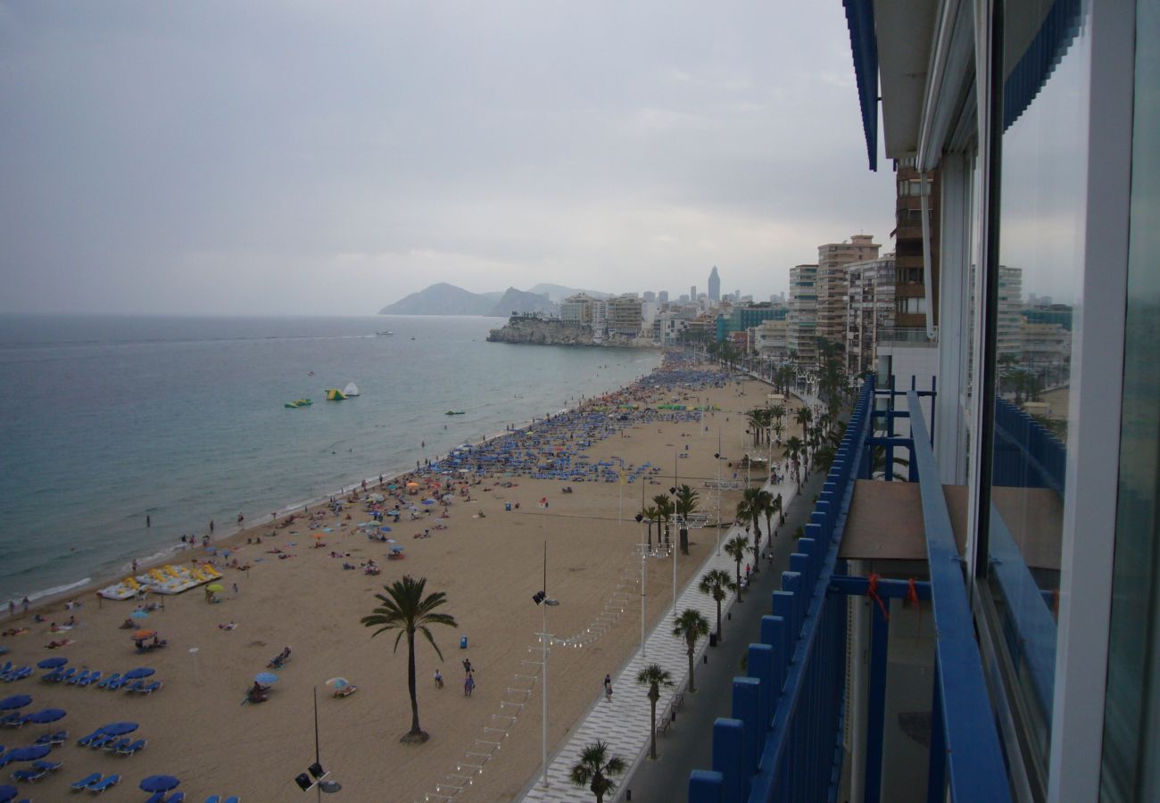 Studio in Benidorm - LAS PALMERAS (STUDIO) BENIDORM