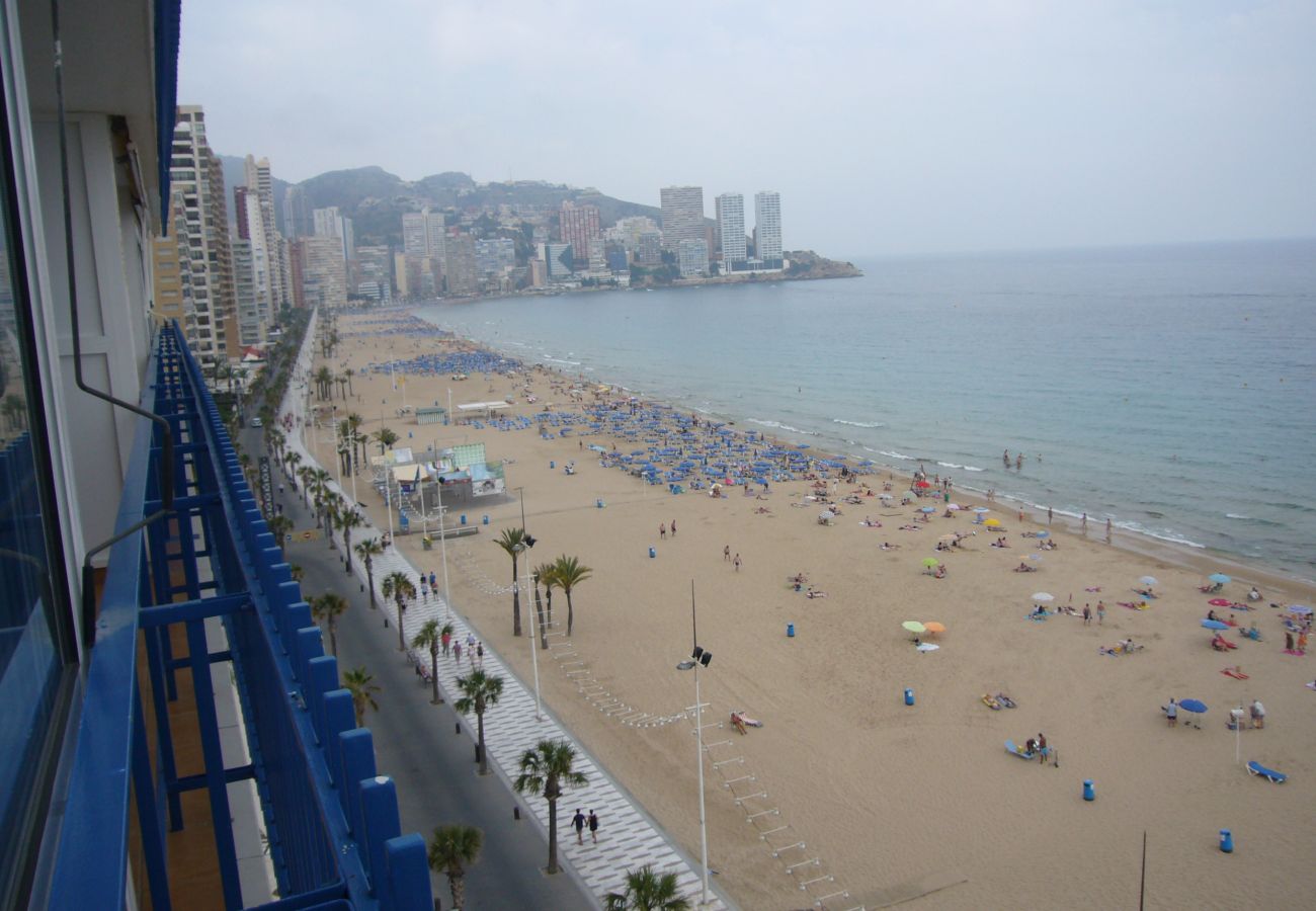 Studio in Benidorm - LAS PALMERAS (STUDIO) BENIDORM