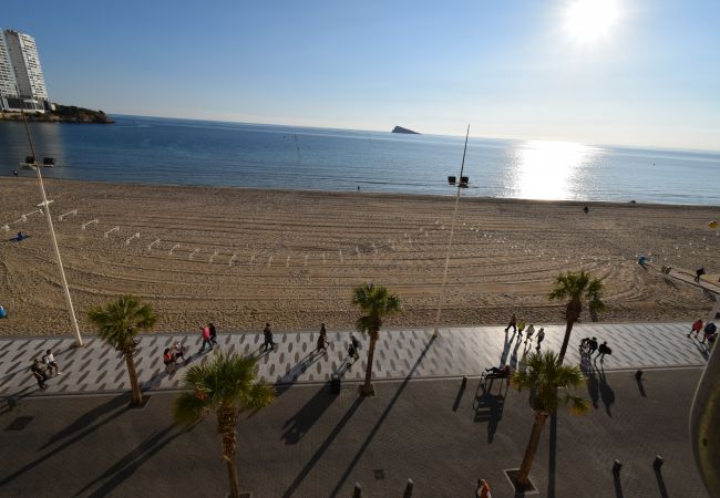  in Benidorm - CAROLINA (1 SLAAPKAMER)