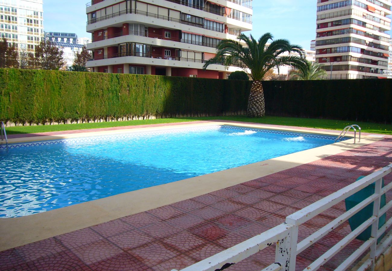 Appartement in Benidorm - CAROLINA (1 SLAAPKAMER)