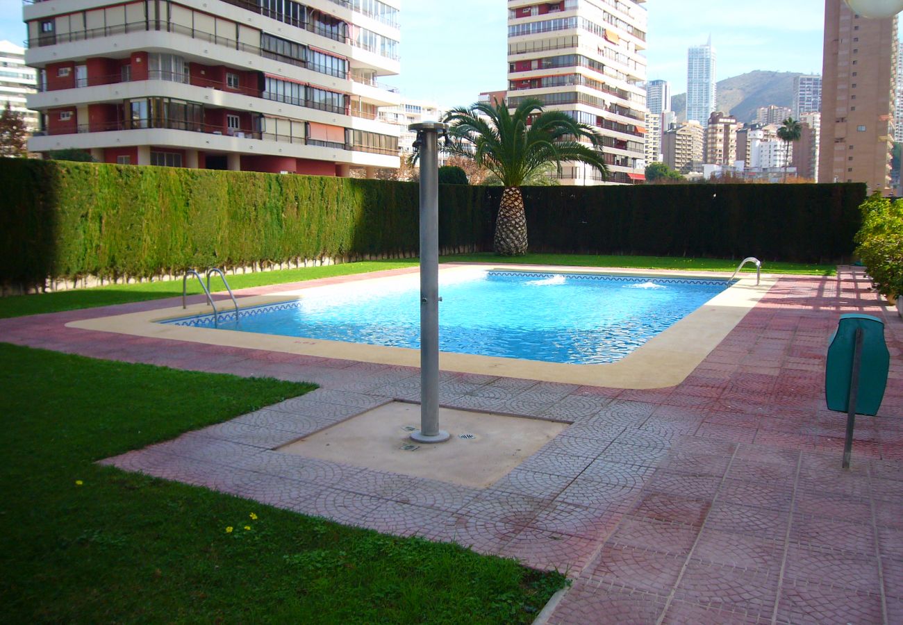 Appartement in Benidorm - CAROLINA (1 SLAAPKAMER)