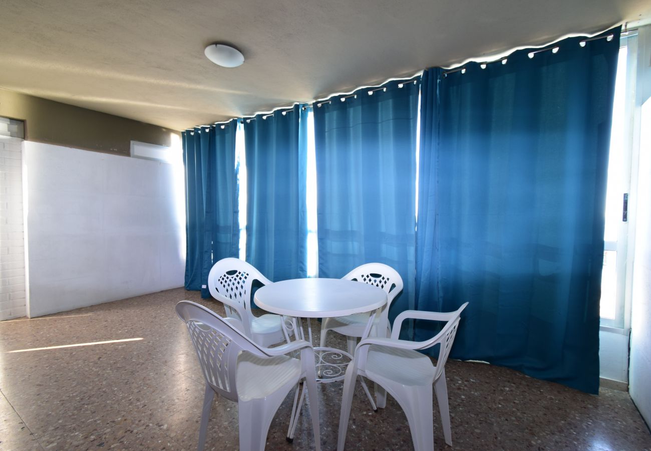 Appartement in Benidorm - CAROLINA (1 SLAAPKAMER)