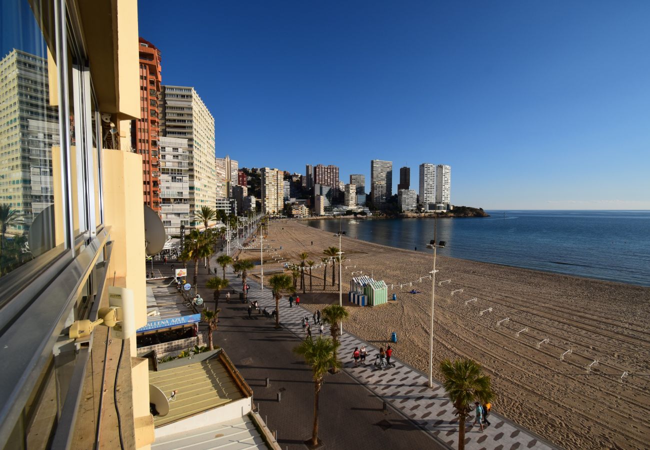 Appartement in Benidorm - CAROLINA (1 SLAAPKAMER)