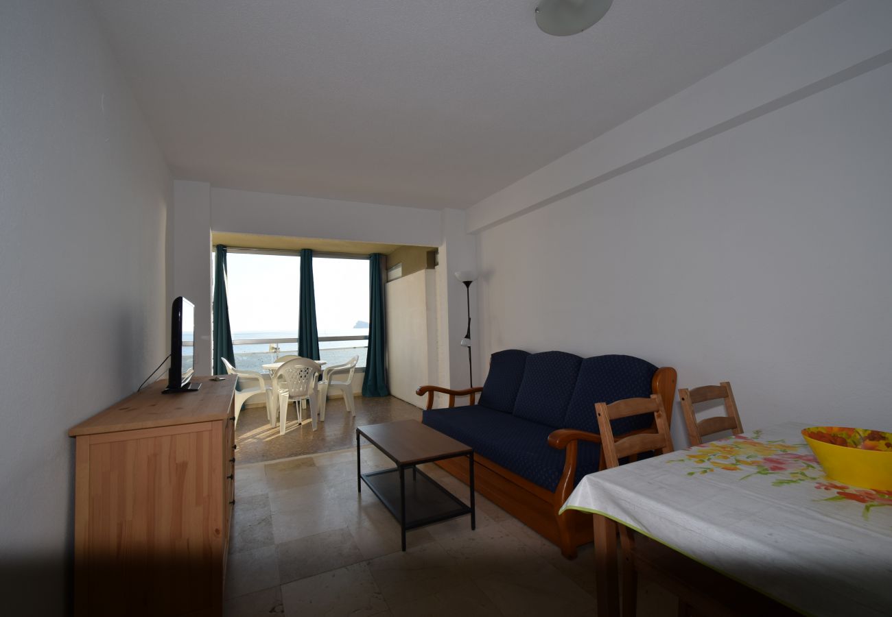 Appartement in Benidorm - CAROLINA (1 SLAAPKAMER)