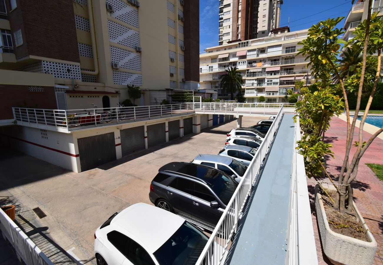 Appartement in Benidorm - CAROLINA (1 SLAAPKAMER)