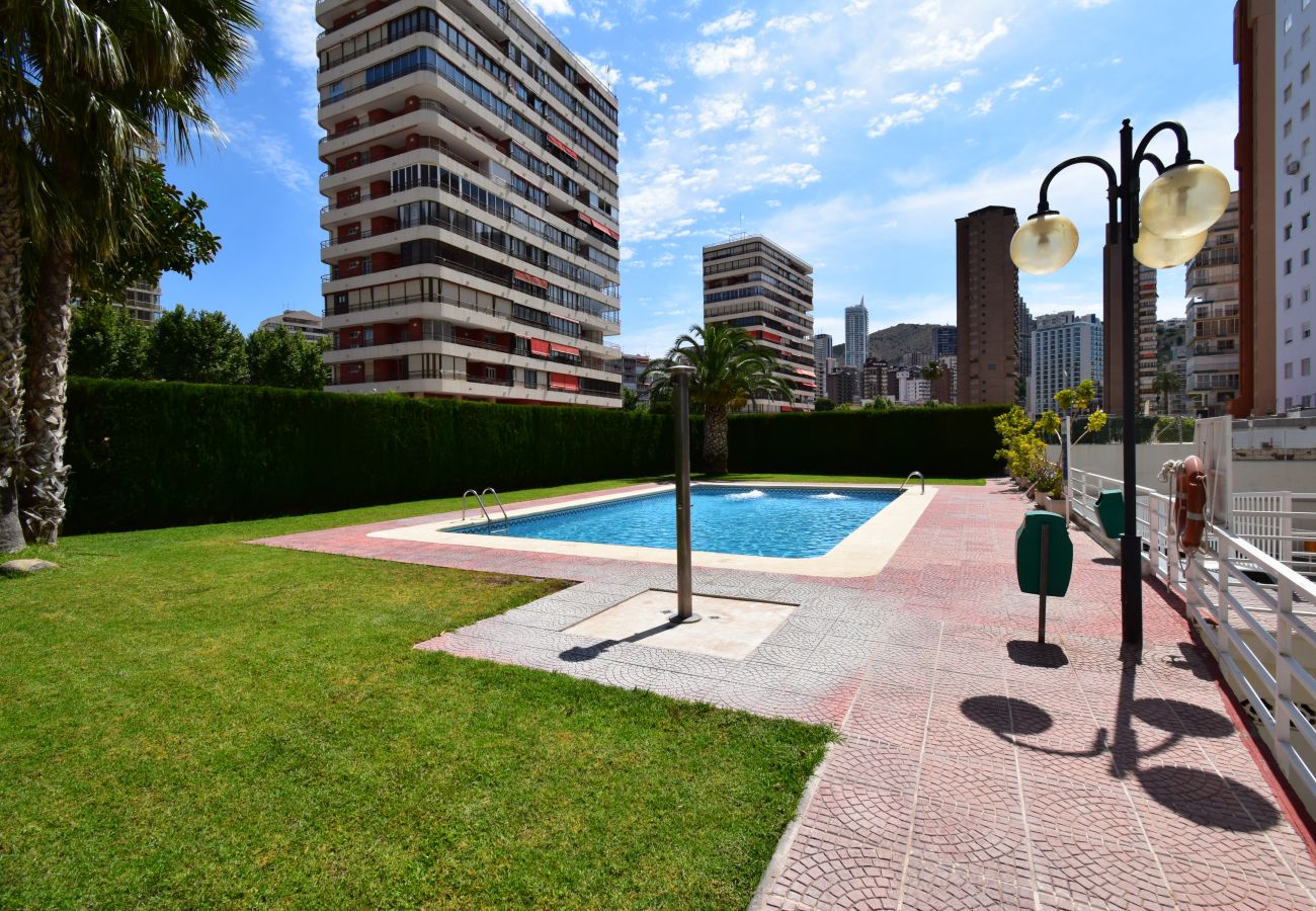 Appartement in Benidorm - CAROLINA (1 SLAAPKAMER)