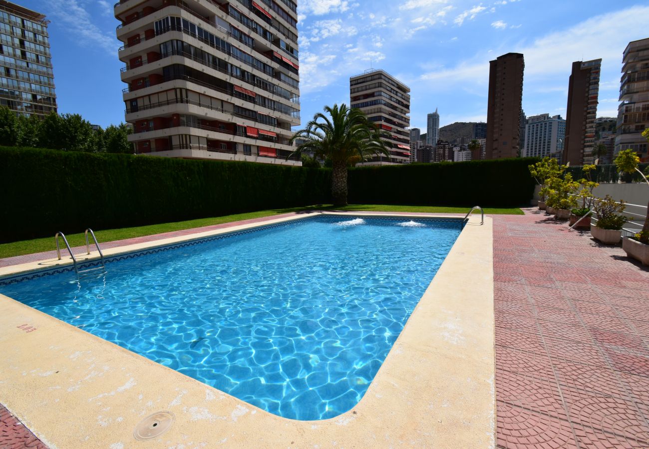 Appartement in Benidorm - CAROLINA (1 SLAAPKAMER)