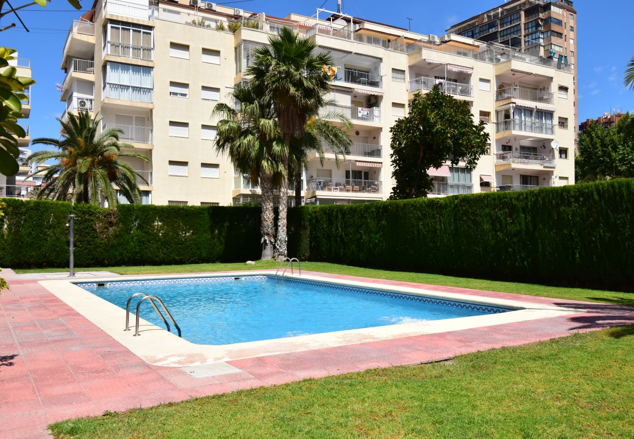 Appartement in Benidorm - CAROLINA (1 SLAAPKAMER)