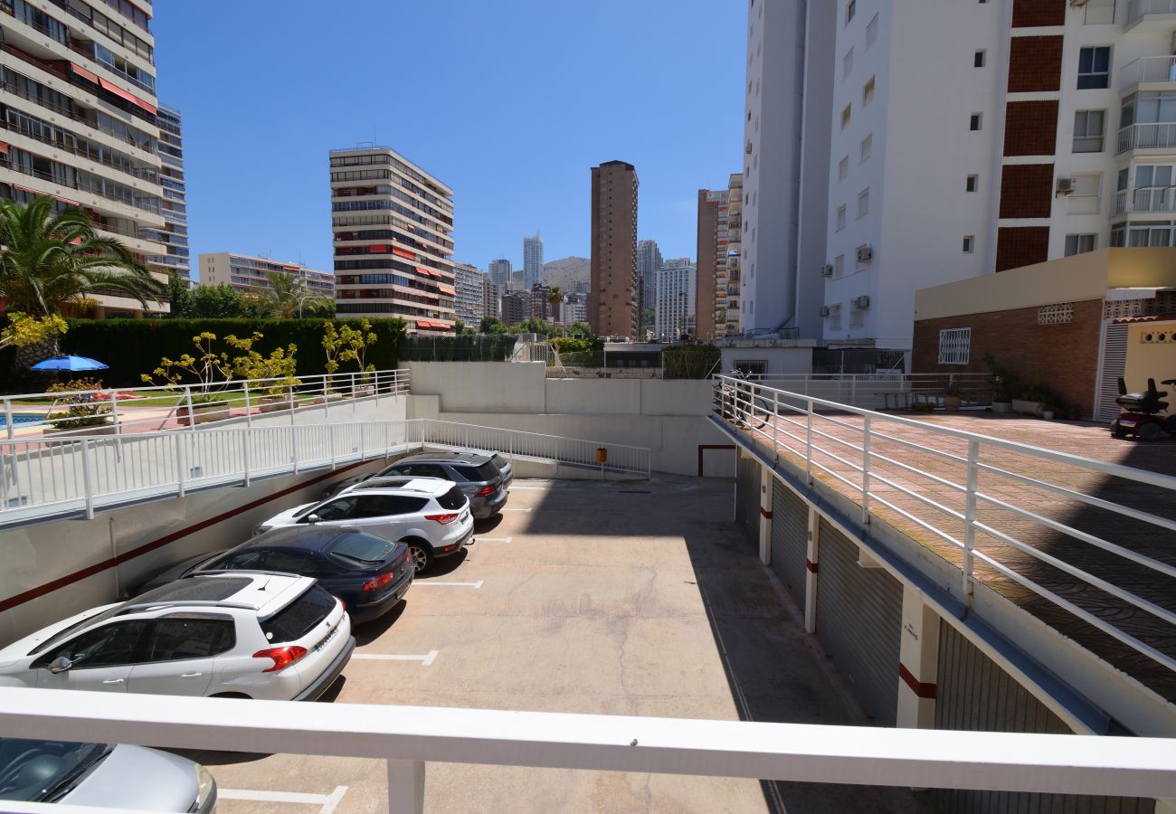 Appartement in Benidorm - CAROLINA (1 SLAAPKAMER)