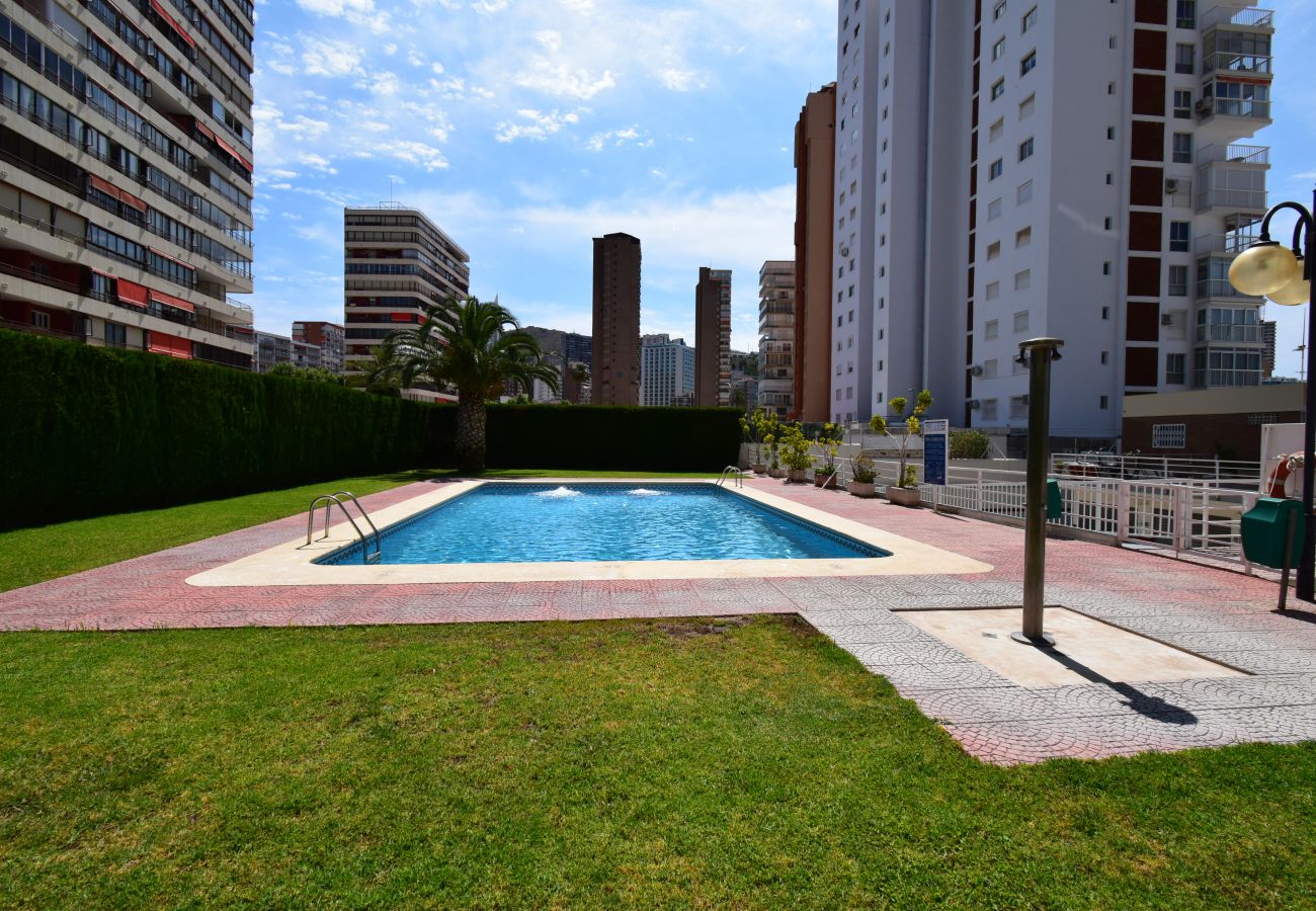 Appartement in Benidorm - CAROLINA (1 SLAAPKAMER)