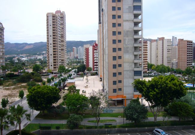 Appartement in Benidorm - PARAISO ESPERANTO (1 SLAAPKAMER) Appartement in Benidorm - PARAISO ESPERANTO (1 SLAAPKAMER)