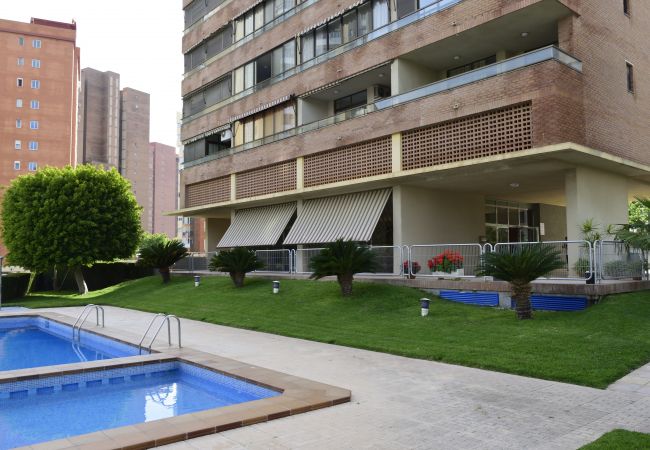 Appartement in Benidorm - PARAISO ESPERANTO (1 SLAAPKAMER) Appartement in Benidorm - PARAISO ESPERANTO (1 SLAAPKAMER)