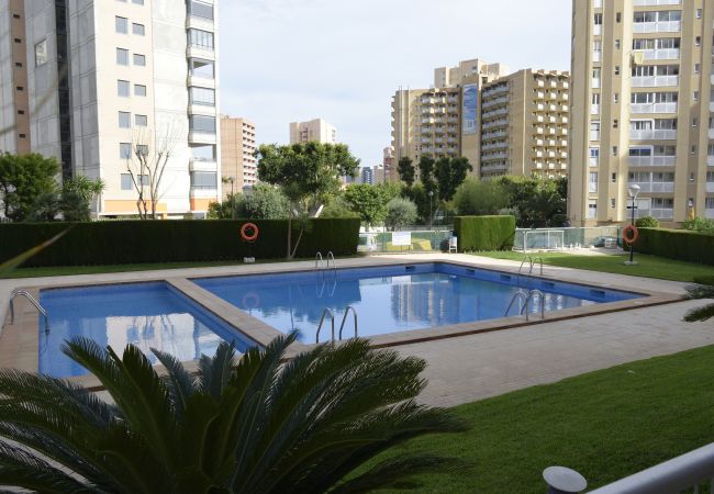 Appartement in Benidorm - PARAISO ESPERANTO (1 SLAAPKAMER) Appartement in Benidorm - PARAISO ESPERANTO (1 SLAAPKAMER)