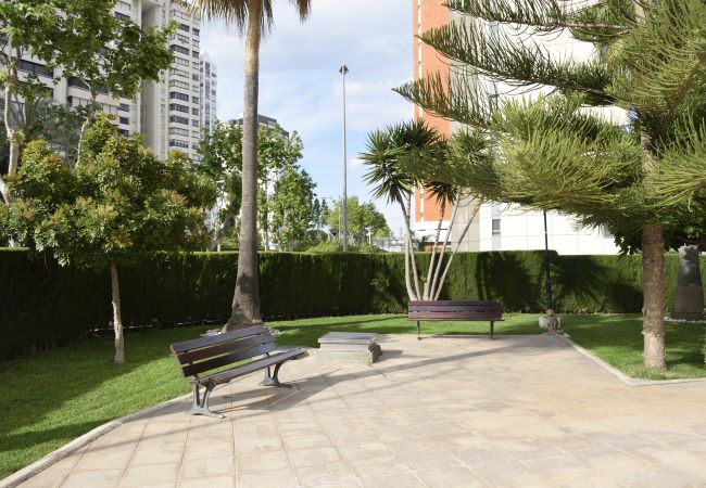Appartement in Benidorm - PARAISO ESPERANTO (1 SLAAPKAMER) Appartement in Benidorm - PARAISO ESPERANTO (1 SLAAPKAMER)