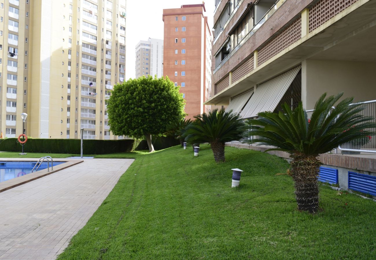 Appartement in Benidorm - PARAISO ESPERANTO (1 SLAAPKAMER)