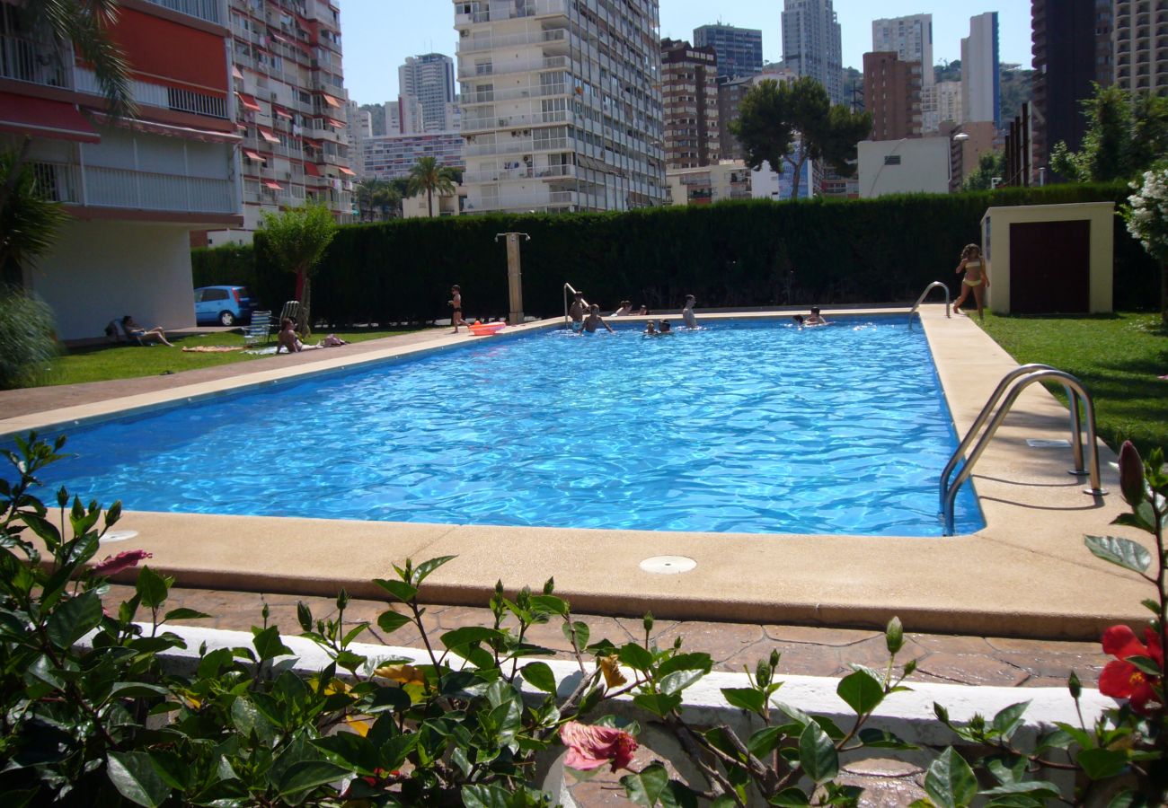 Appartement in Benidorm - EDIMAR (3 SLAAPKAMER) BENIDORM