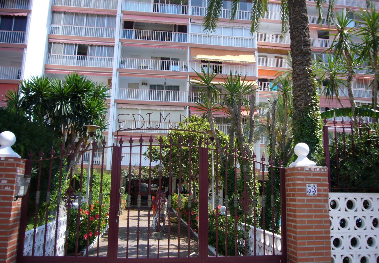 Appartement in Benidorm - EDIMAR (3 SLAAPKAMER) BENIDORM