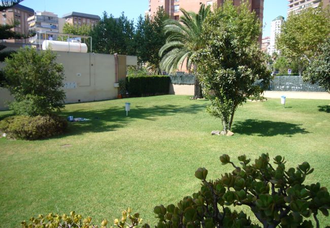 Appartement in Benidorm - LA PINTA (1 SLAAPKAMER) BENIDORM