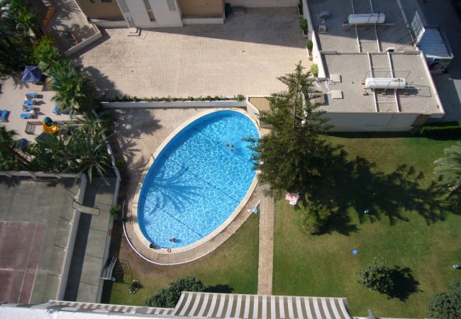 Appartement in Benidorm - LA PINTA (1 SLAAPKAMER) BENIDORM