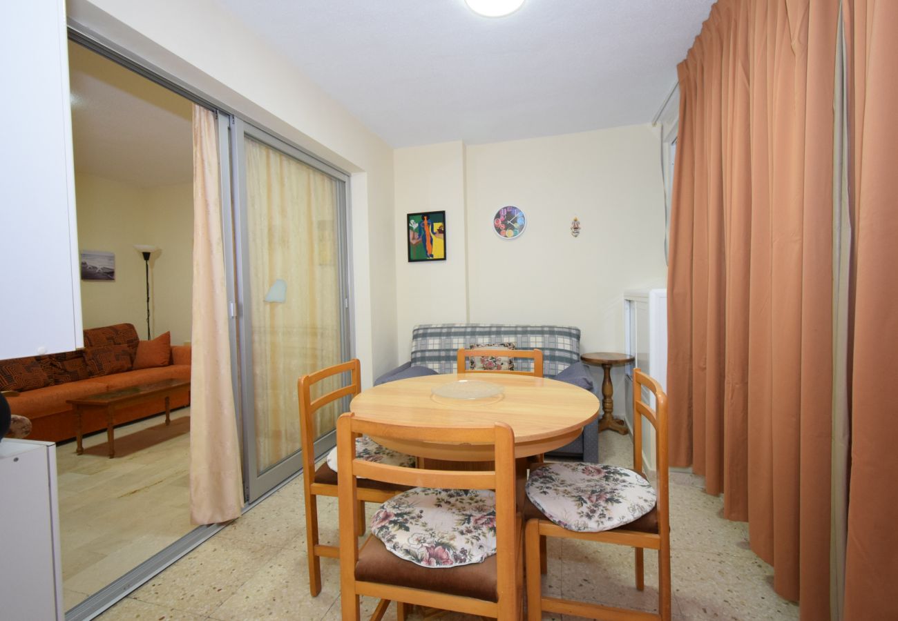 Appartement in Benidorm - LA PINTA (1 SLAAPKAMER) BENIDORM