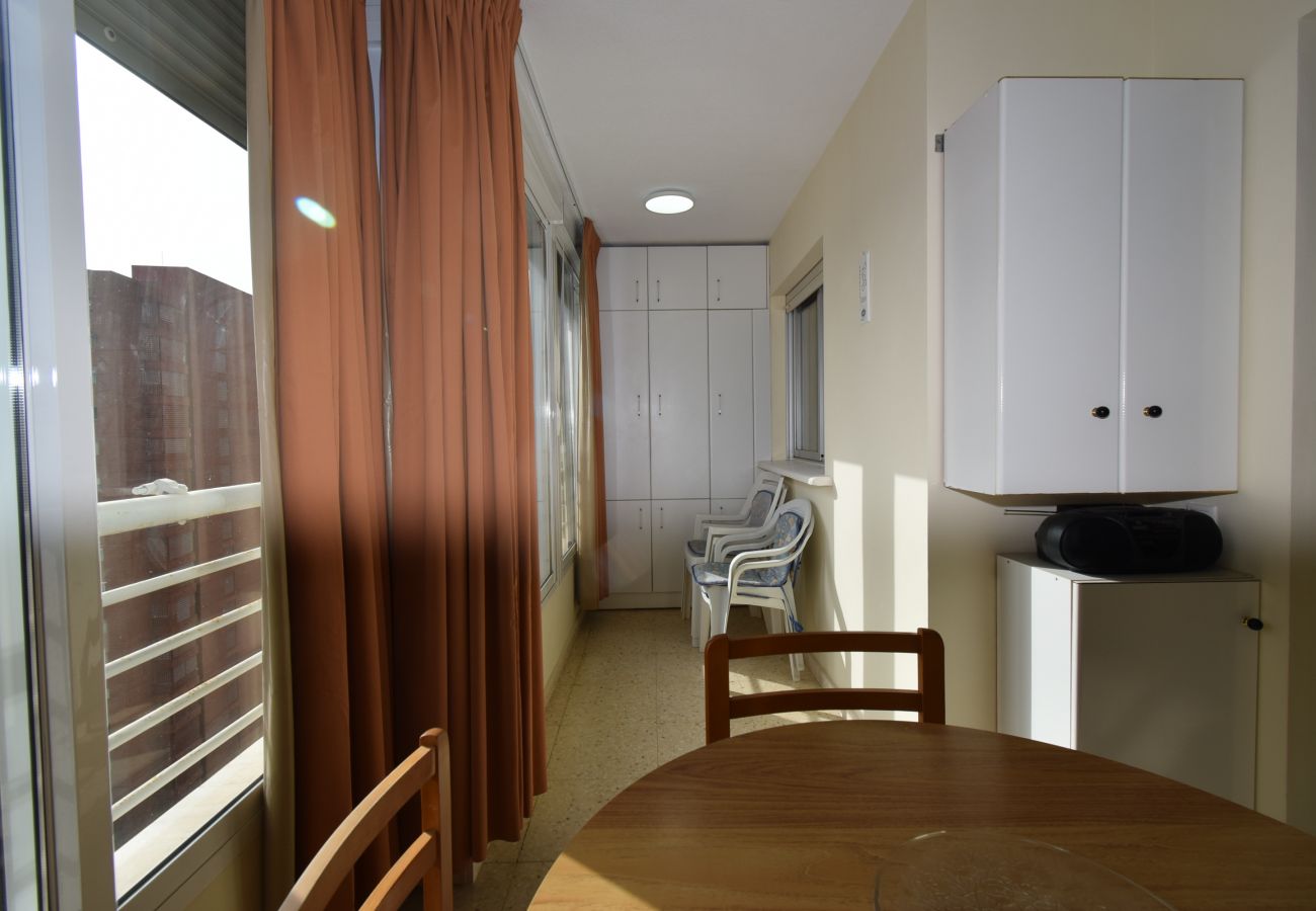 Appartement in Benidorm - LA PINTA (1 SLAAPKAMER) BENIDORM