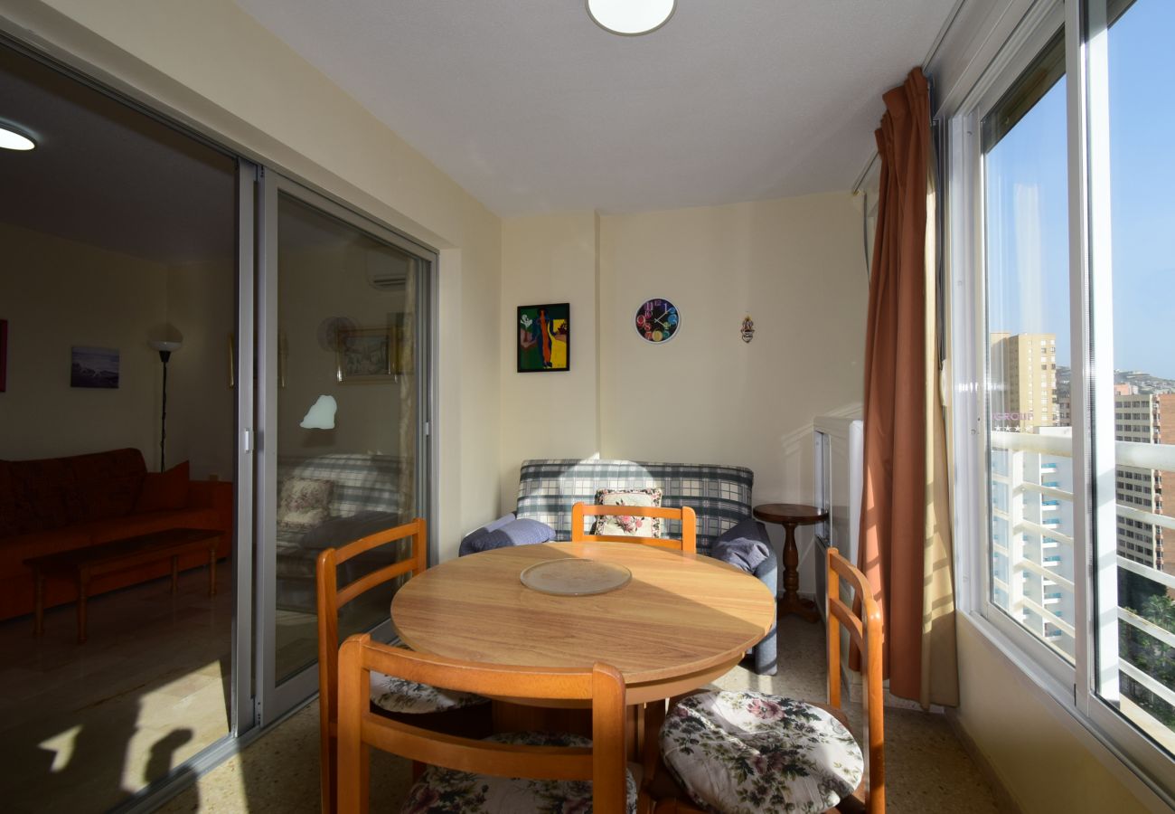 Appartement in Benidorm - LA PINTA (1 SLAAPKAMER) BENIDORM